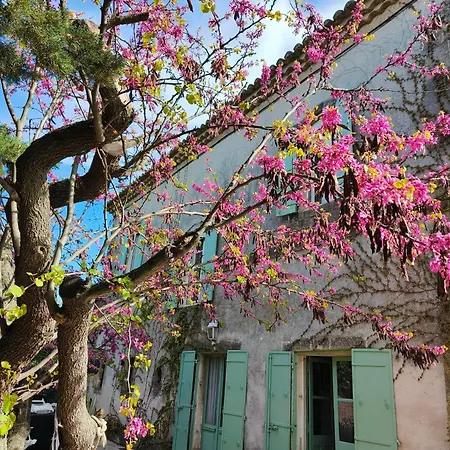 Bed & Breakfast La Folie Mas Provencal Climatise Avec Piscine
